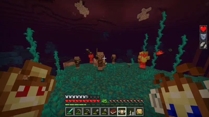 Скриншот Дополнение Totems+ №5