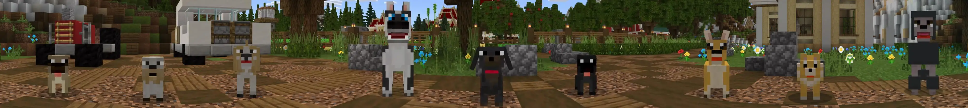 Город собак panorama