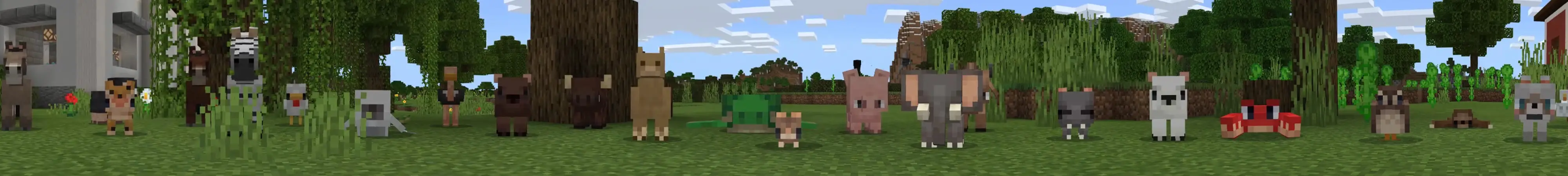 Детеныши животных panorama