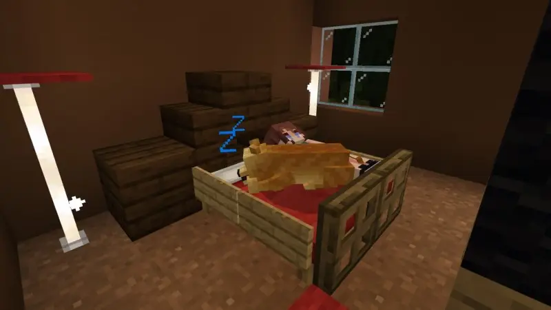 Скриншот Приютите меня! №5