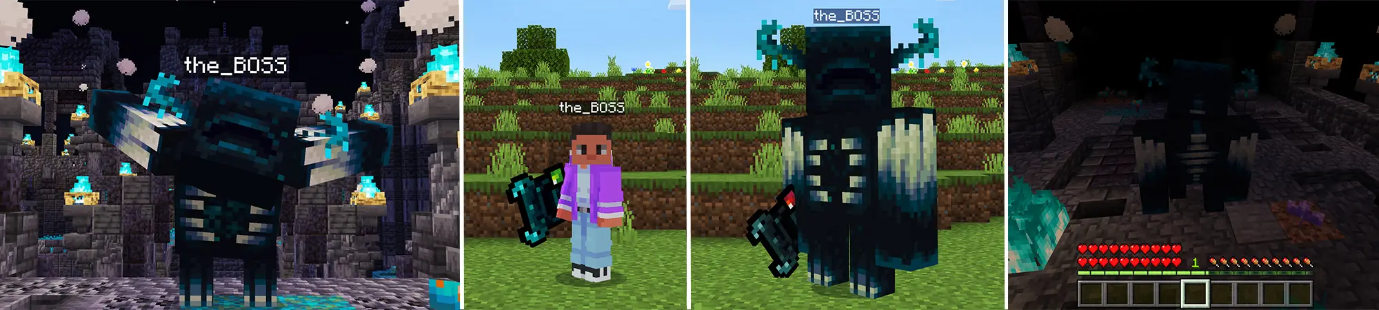 Превращение в смотрителя panorama