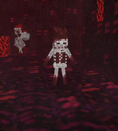 Часть от скелета Ксарда