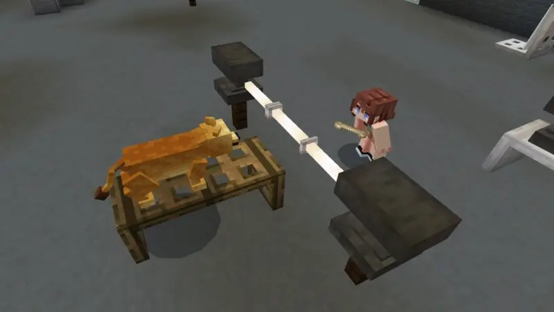 Скриншот Приютите меня! №3