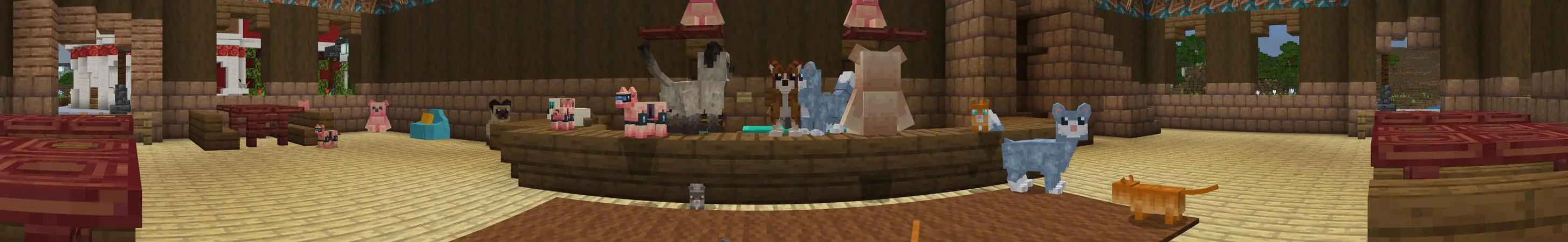 Кошачье кафе panorama