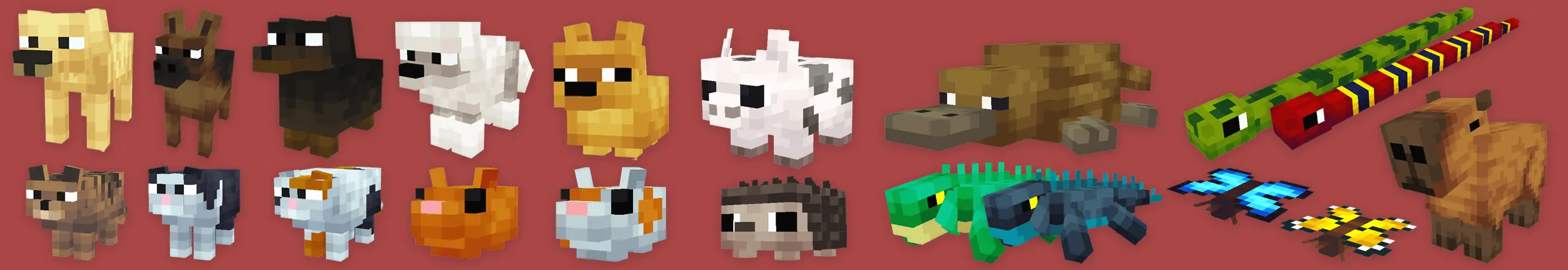 ПИТОМЦЫ! panorama