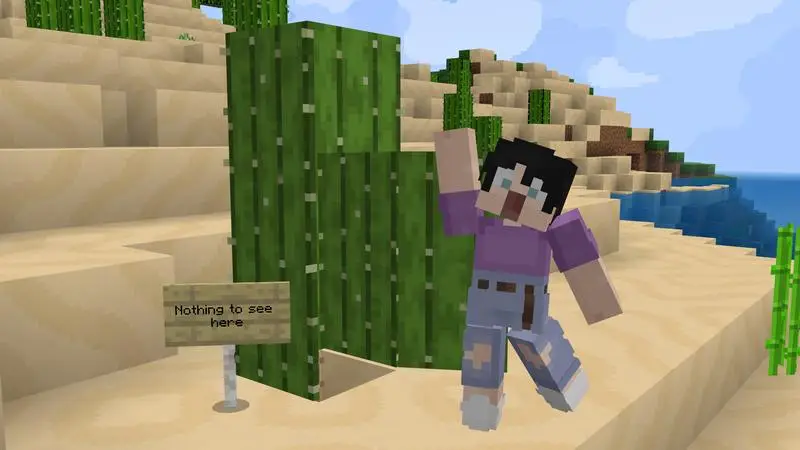 Скриншот Набор «Потайные двери» №3