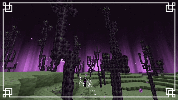 Новый вид частиц в Крае