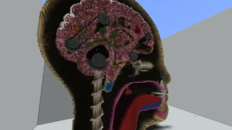 Скриншот Голова №4