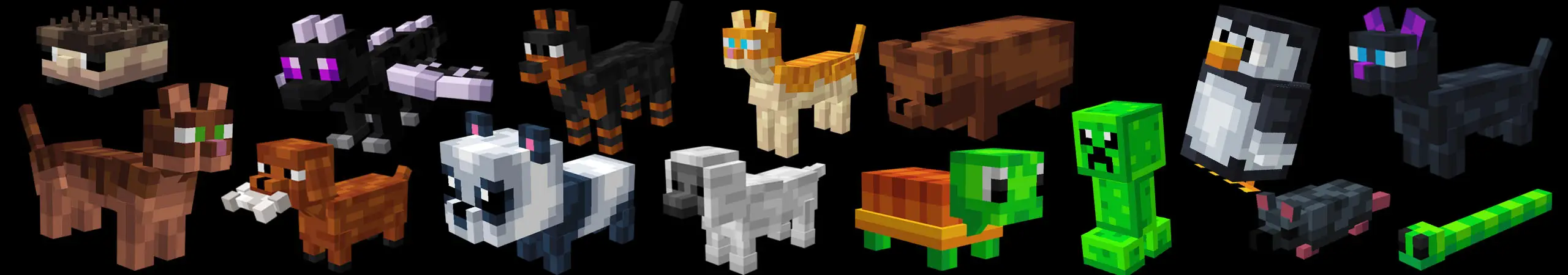 Милые питомцы panorama