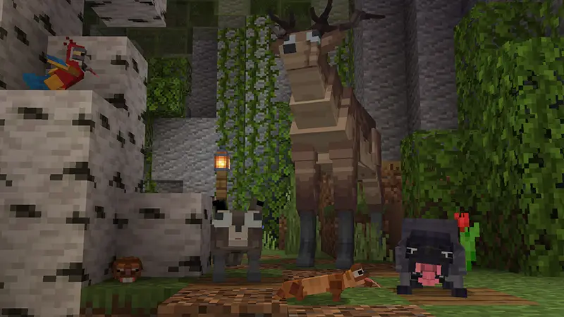 Скриншот ЧОКНУТЫЕ ЖИВОТНЫЕ №3