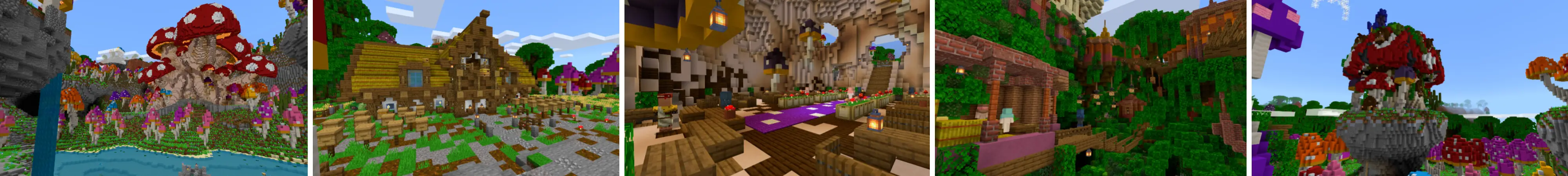 Грибной мир panorama