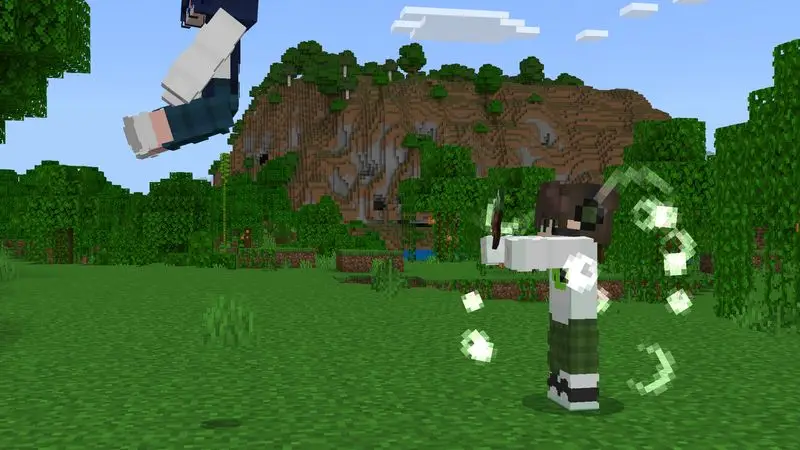 Скриншот Дополнение Carry More №5