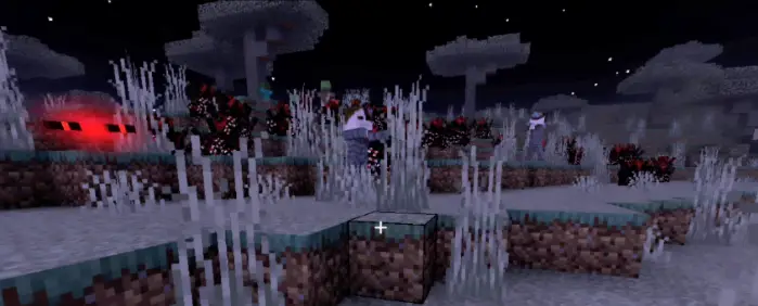 Новый вид мира