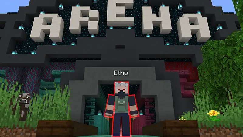 Скриншот Hermitcraft TCG Add-On №3