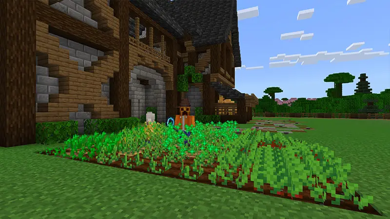 Скриншот Сита и вещи №4