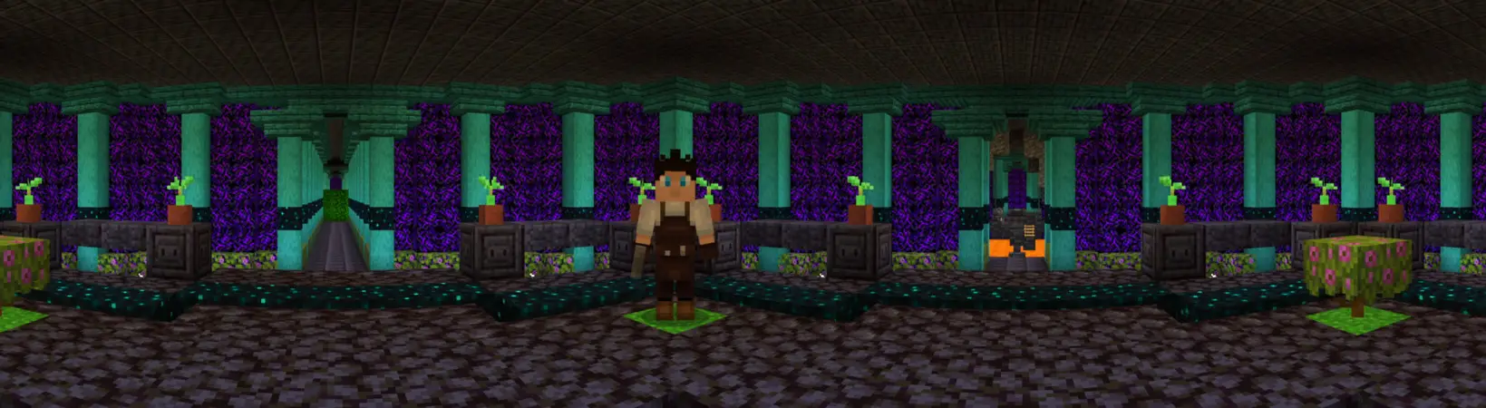 Играйте за смотрителя panorama