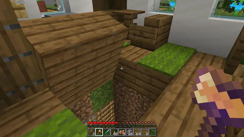 Скриншот Потайные двери №1