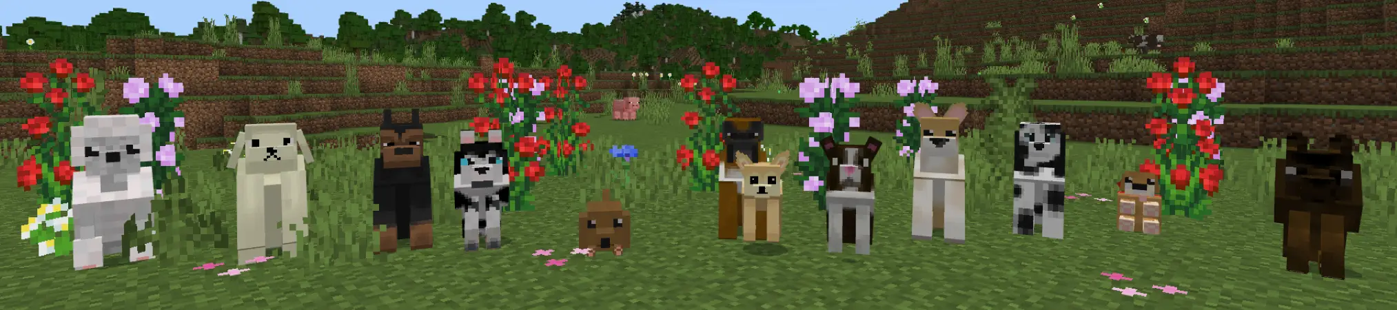 Питомцы: собаки panorama