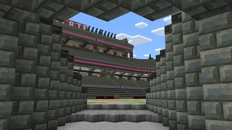 Скриншот Стадион штата Свинья №5