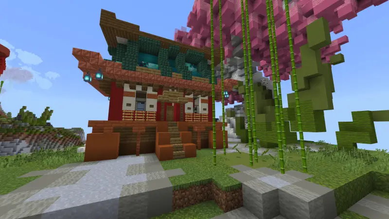 профи и ниндзя №5