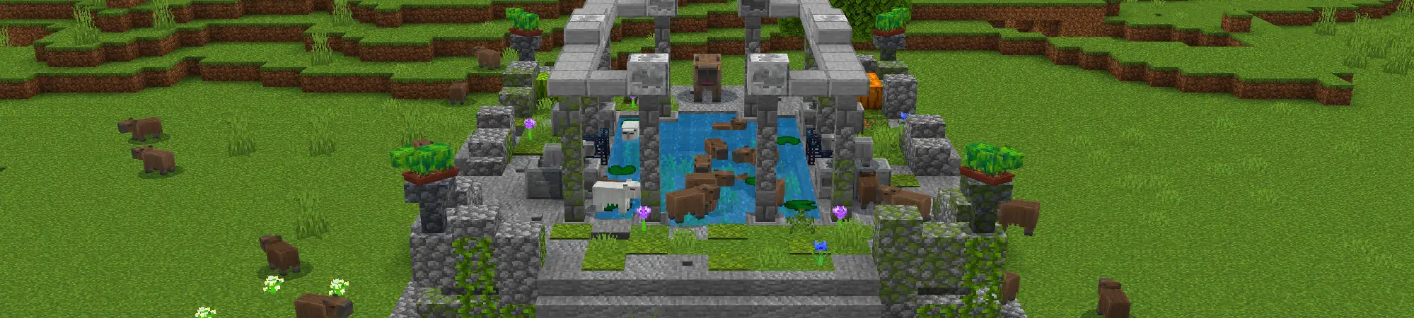 Капибары+ panorama