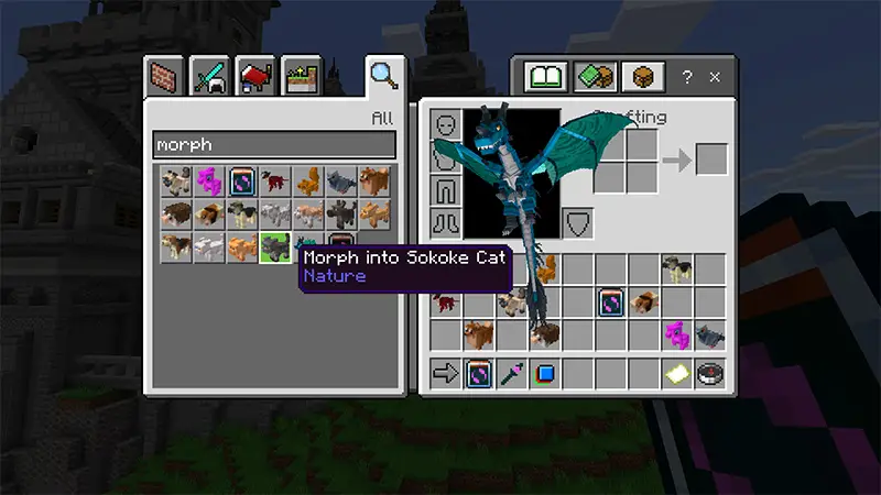 Скриншот НАБОР ДЛЯ ПРЕВРАЩЕНИЯ! №3