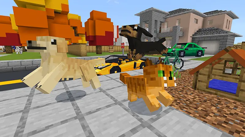 Скриншот Кошки и собаки №5