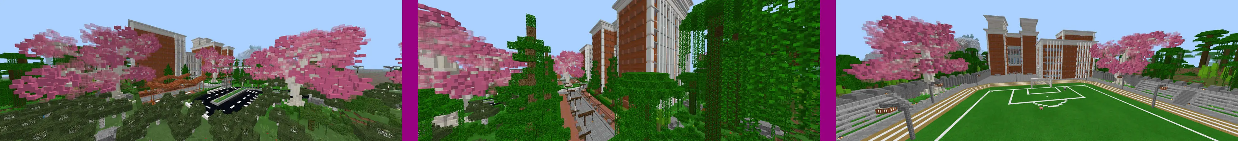 Аниме-школа panorama