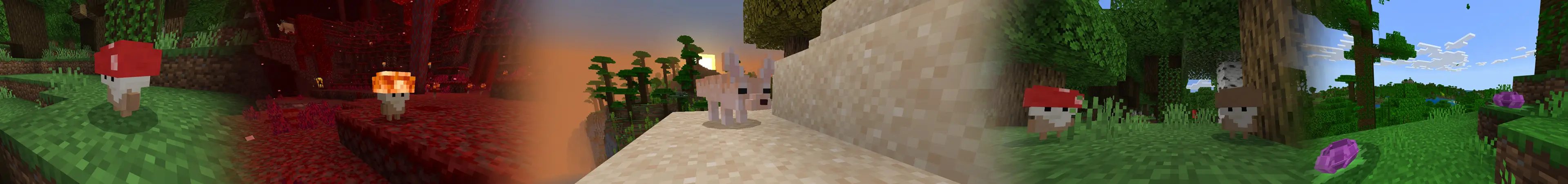 Жизнь на природе panorama