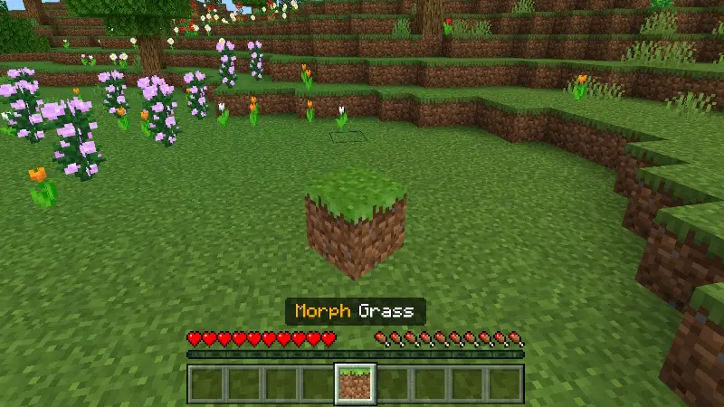 Скриншот ПРЕВРАЩЕНИЕ В БЛОКИ №6