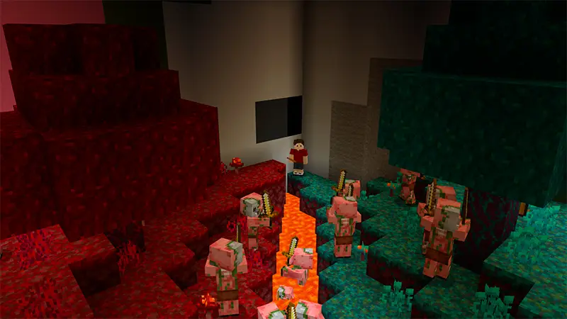 Скриншот Головы мобов из Нижнего мира в Skyblock №5