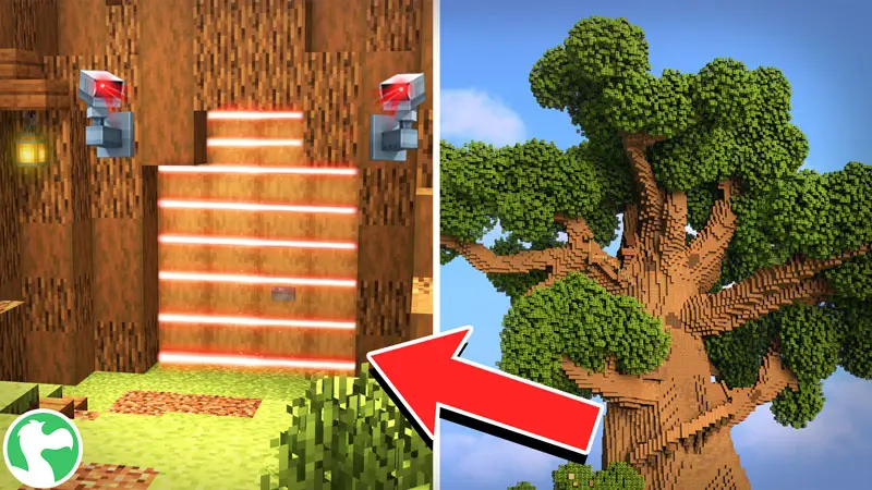 Секретная база на дереве