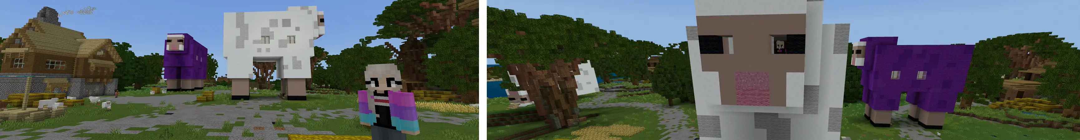 Как ЖИТЬ ВНУТРИ ОВЦЫ! panorama