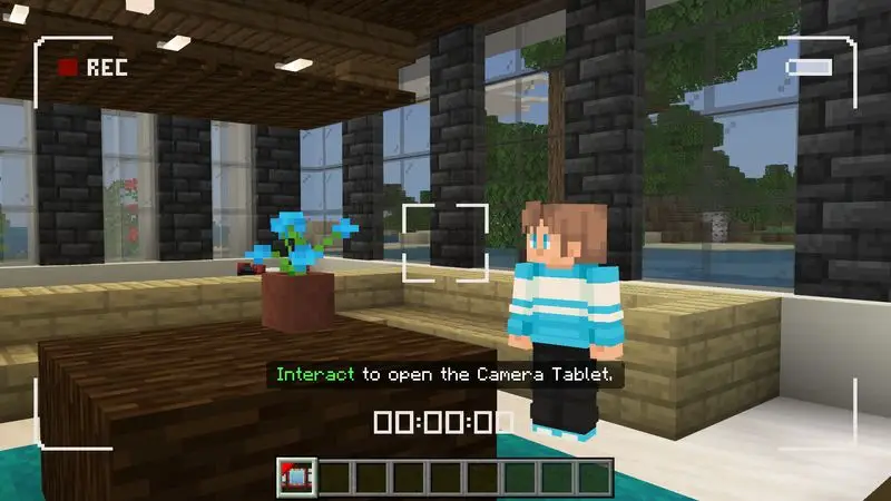 Скриншот Дополнение Security Cameras №2