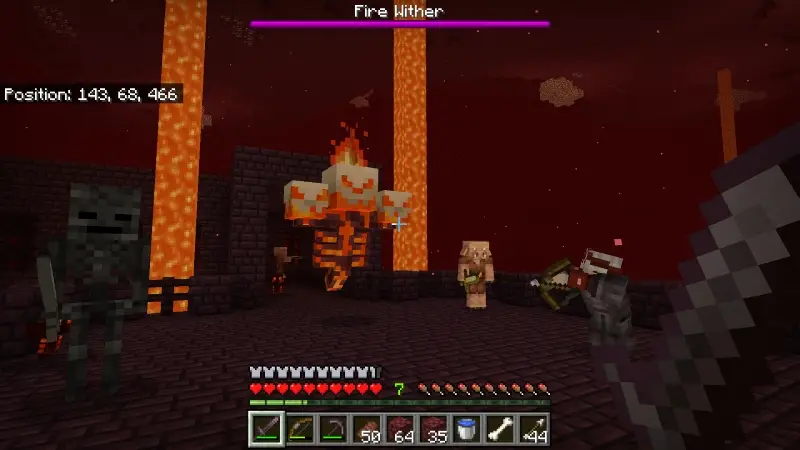 Скриншот Дополнение Wither Plus №4