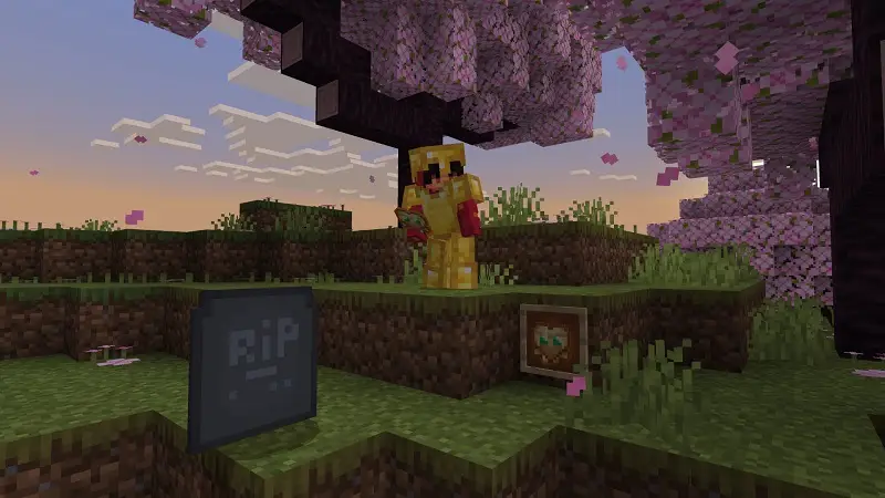 Скриншот Дополнение Advanced Hearts №2