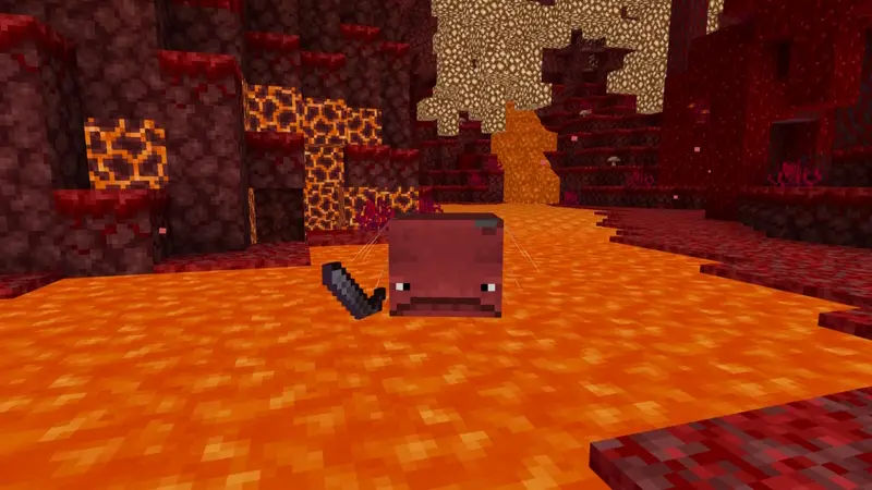 Скриншот Морфы++ №8