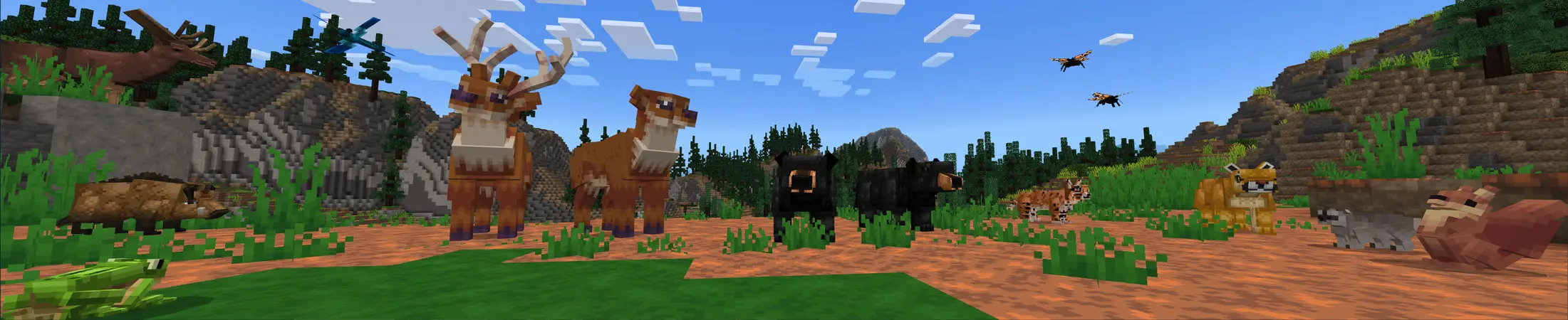 Исследователи дикой природы: лес panorama