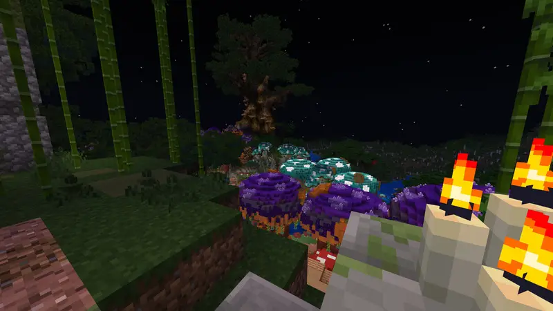 Скриншот Грибной лес №1