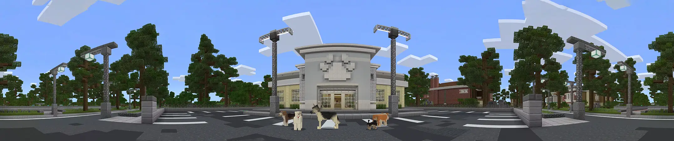 Собаки panorama