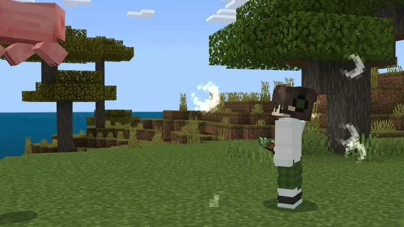 Скриншот Дополнение Carry More №7