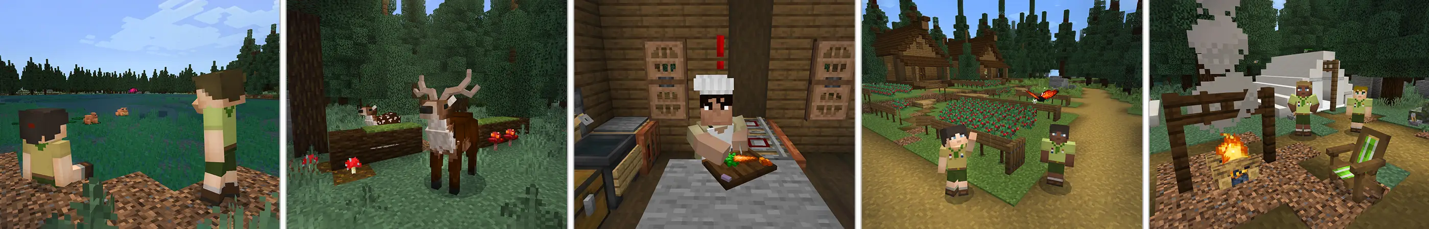 Станьте скаутом! panorama