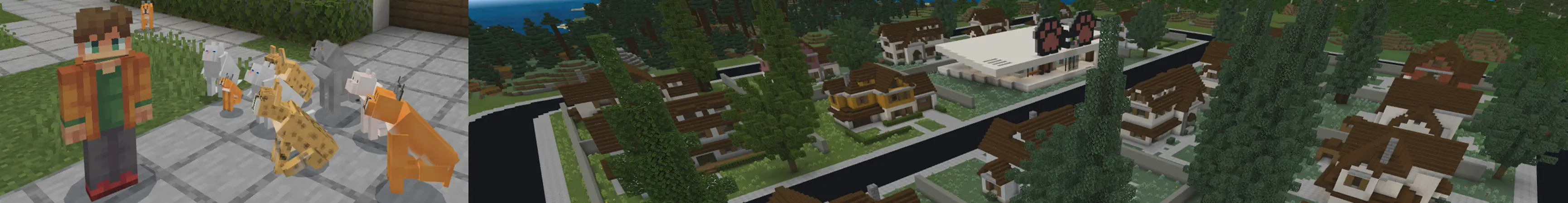 Котики+ panorama