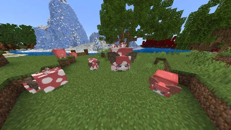 Скриншот Ранчо с овцами №1