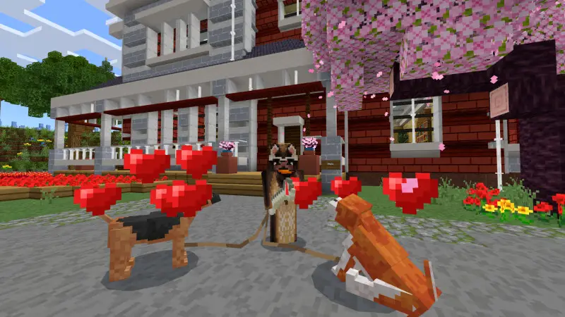 Скриншот Разнообразные собаки №1