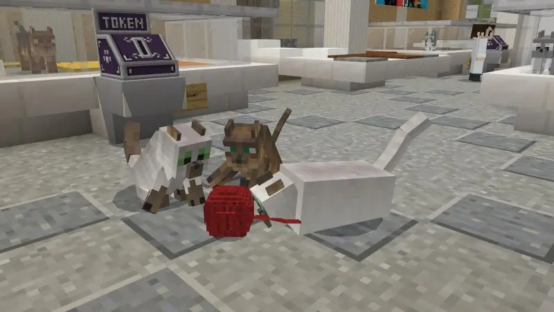 Скриншот Кошки №2