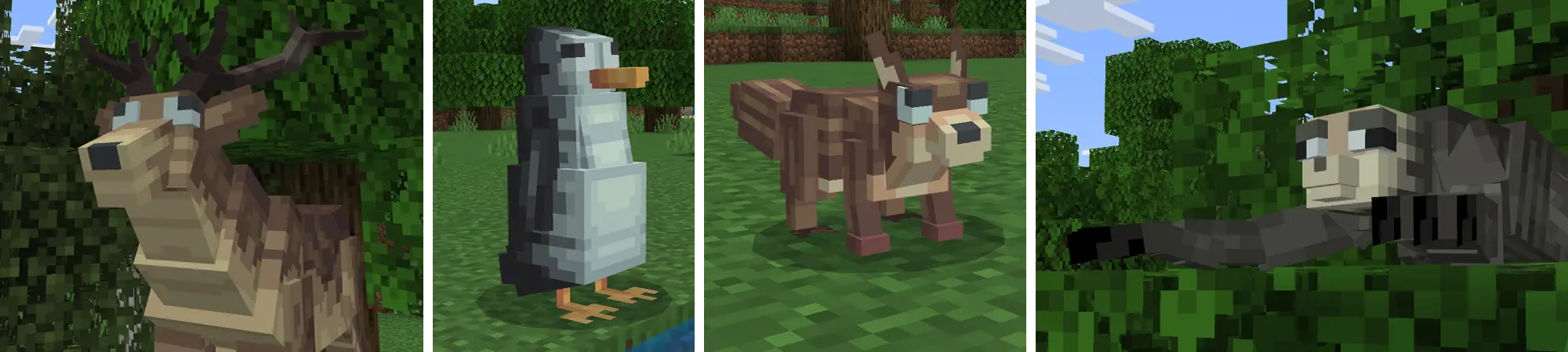 ЧОКНУТЫЕ ЖИВОТНЫЕ panorama