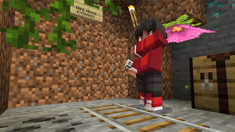 Скриншот НАБОР СЕКРЕТНЫХ ДВЕРЕЙ №8