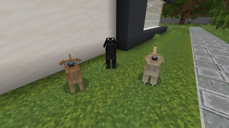 Скриншот Особняк для собак №4