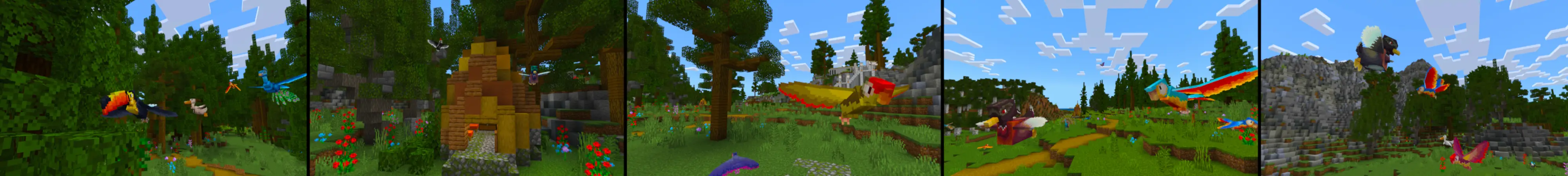 Птицы: Тропики panorama